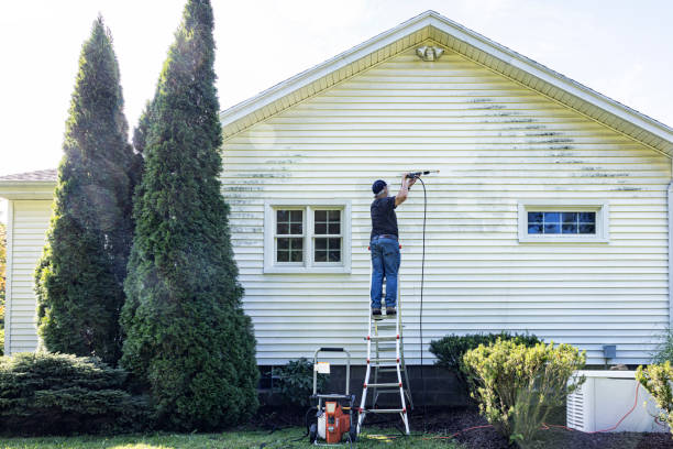 Professional Pressure Washing in Dentsville, SC