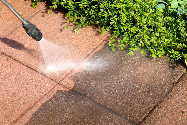 Best House Pressure Washing  in Dentsville, SC